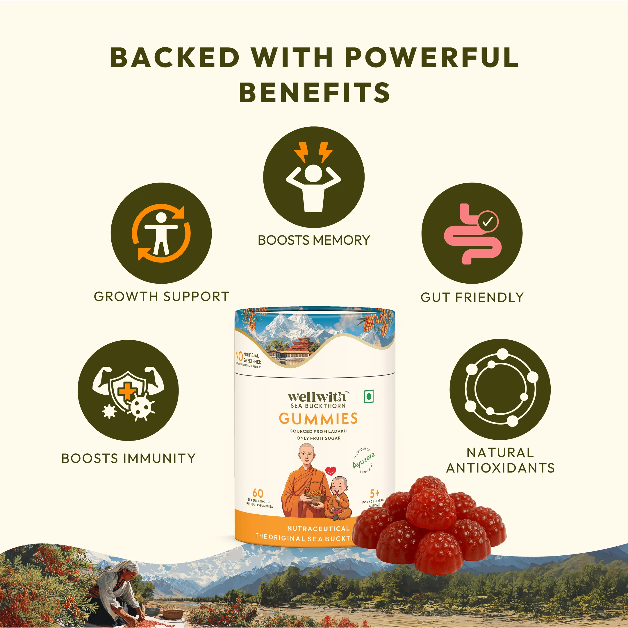 Sea Buckthorn Gummies - Image 8