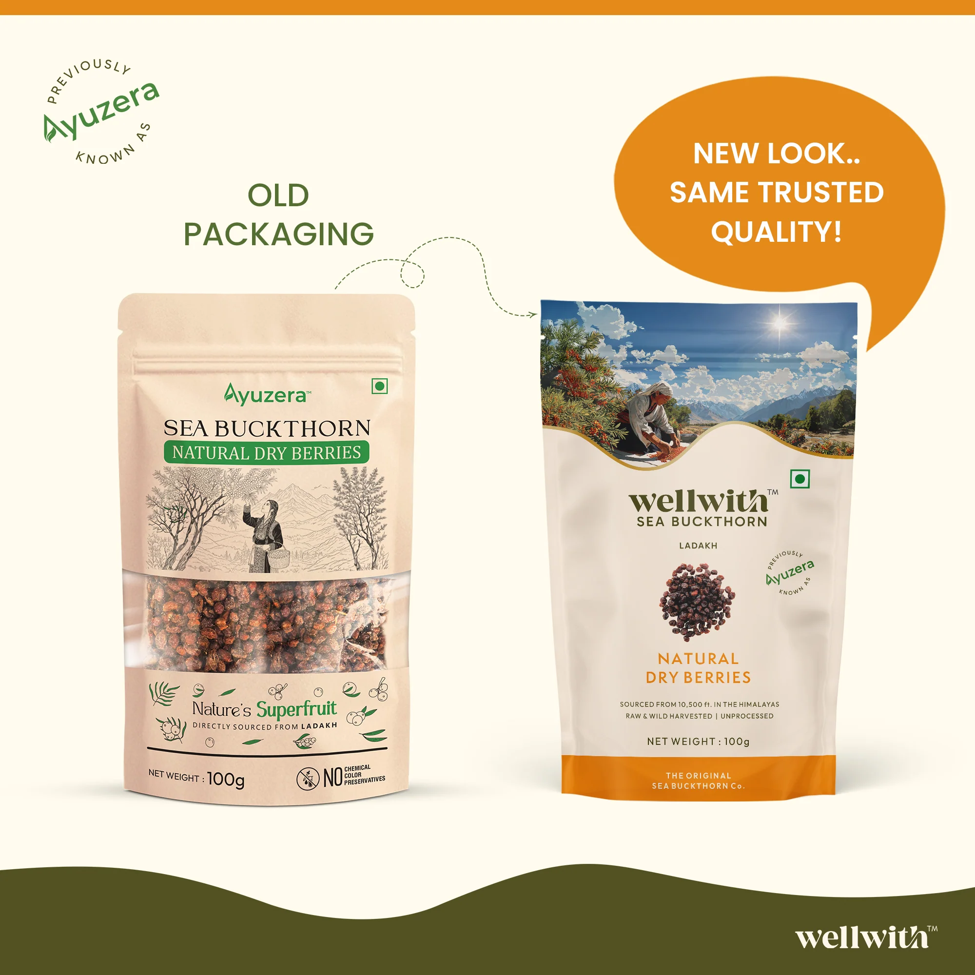 Sea Buckthorn Dry Berry 100gm - Image 3