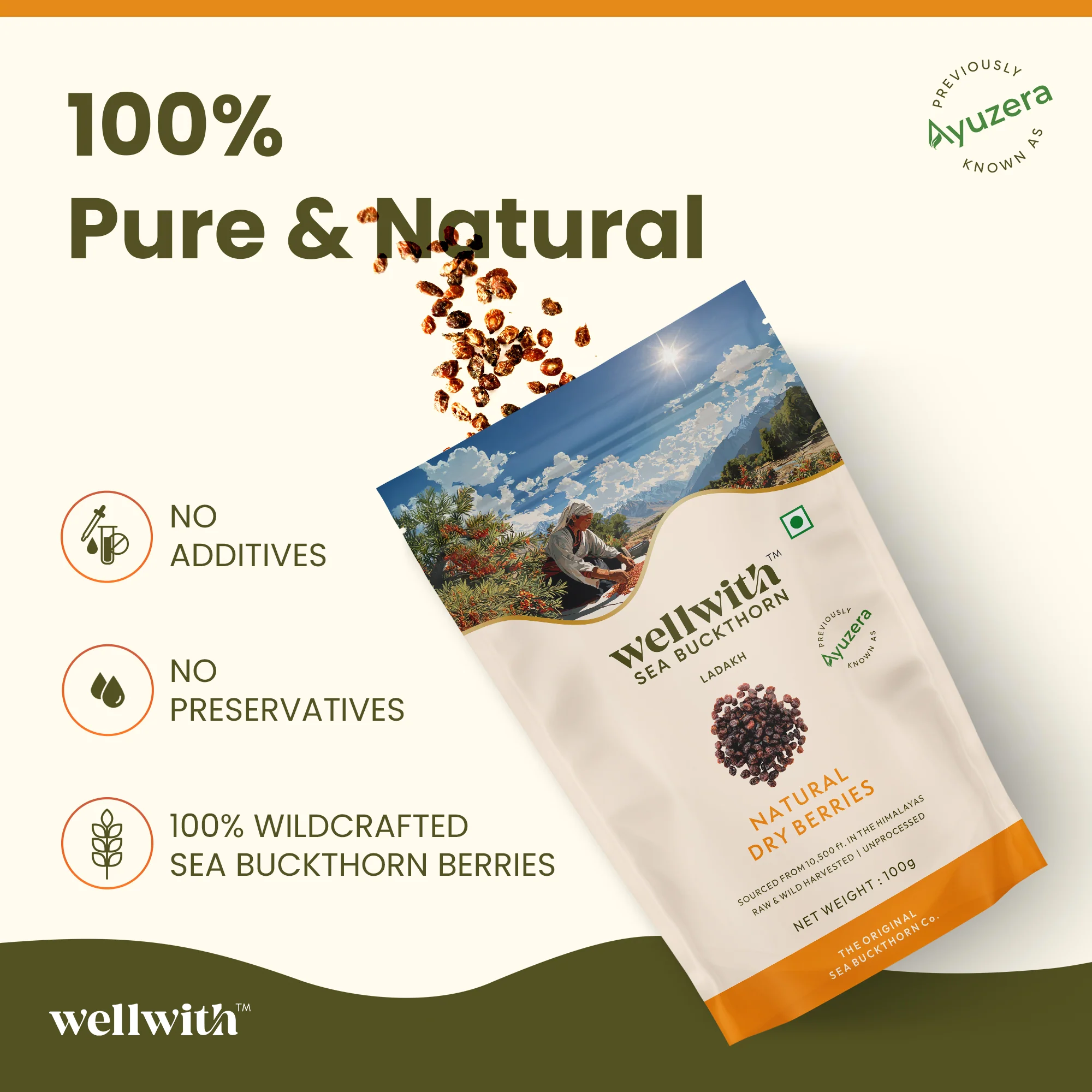 Sea Buckthorn Dry Berry 100gm - Image 4
