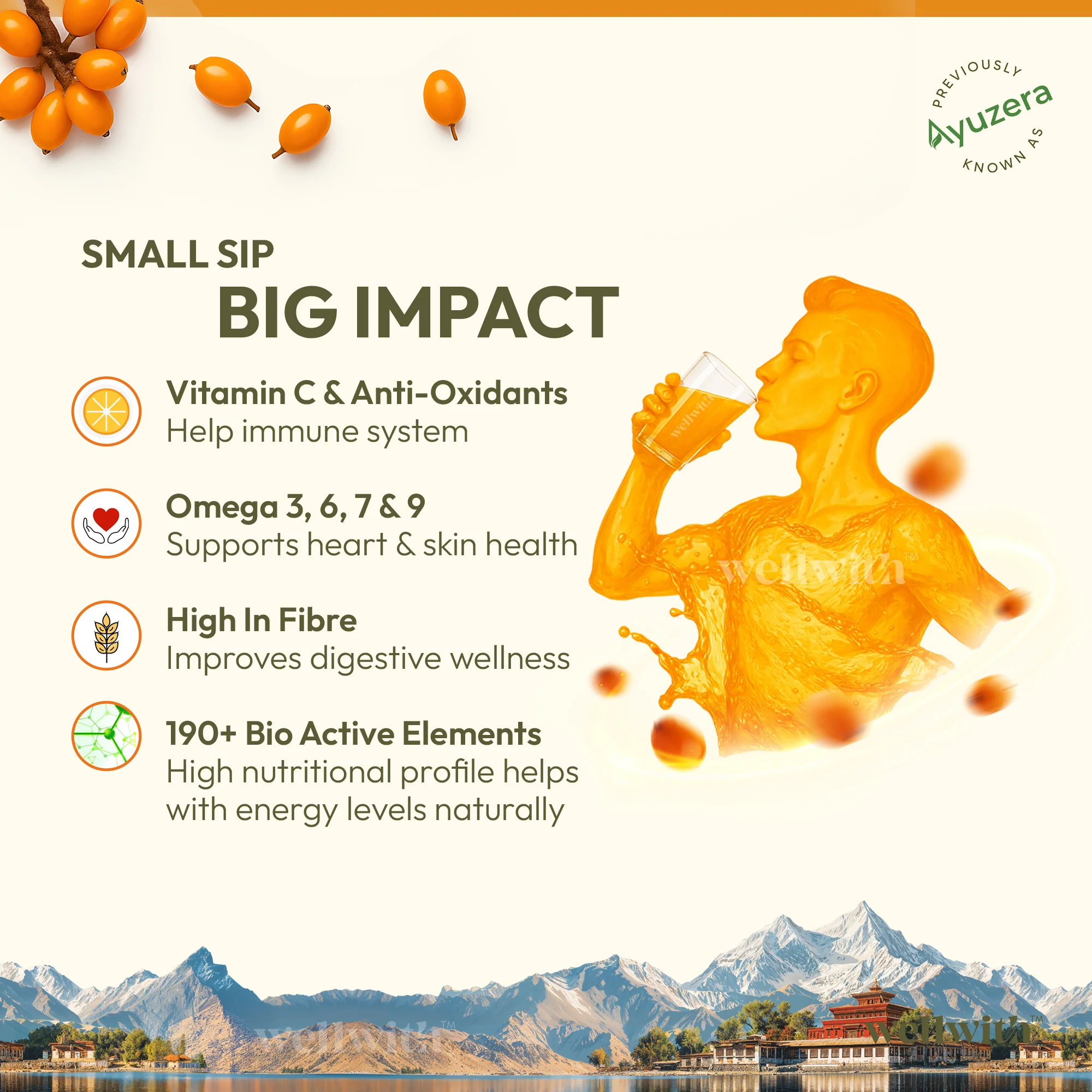 Sea Buckthorn Juice (Pulp) 300ml - Image 6
